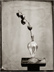 Collodion Wet Plate Ambrotype Tintype 030